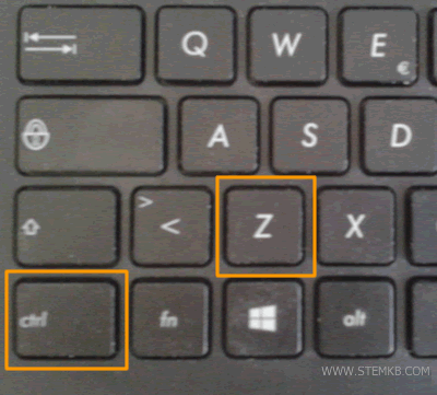 come premere CONTROL+Z