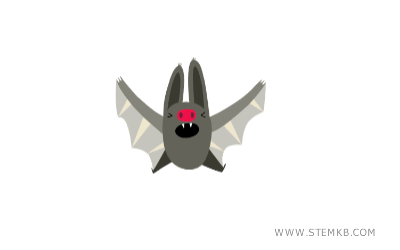 un esempio di animazione