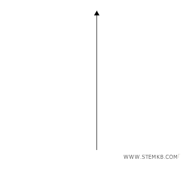 come costruire il piano cartesiano