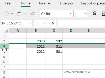 seleziona una riga o una cella della riga