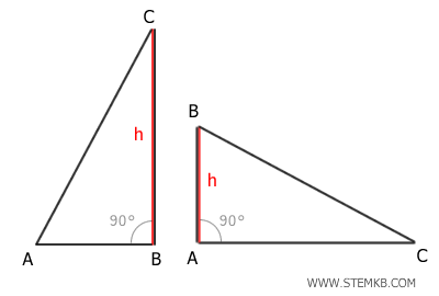 le altezze del triangolo rettangolo, 2 su 3 sono lati